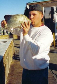 tytrucks profile photo