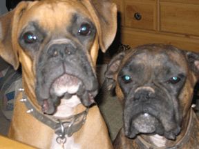 Crissp profile photo