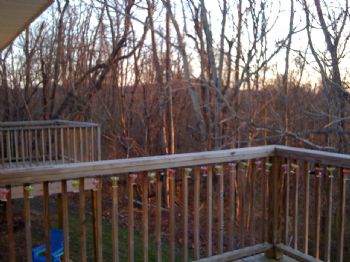 aliskipper profile photo