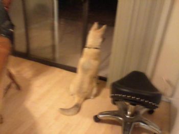 rosepdl4luv profile photo