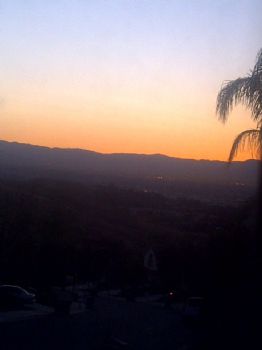 scoot33 profile photo