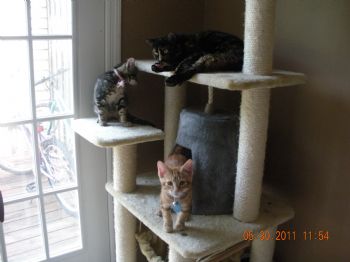 bfehling profile photo