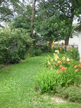 greenday_316 profile photo