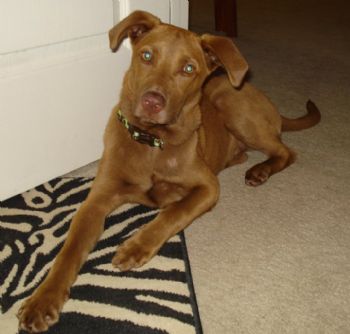 art0215 profile photo