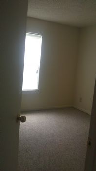 goodworld profile photo