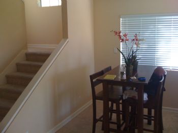 misslacy profile photo