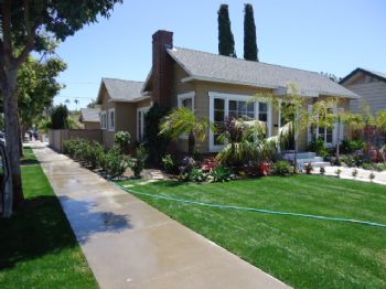 omarn4 profile photo