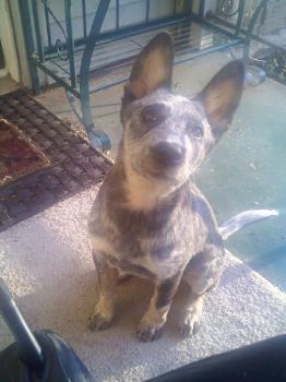 Steph1008 profile photo