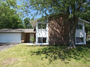 tbannon profile photo