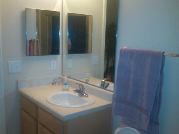 austinZoog profile photo