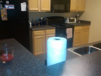 austinZoog profile photo