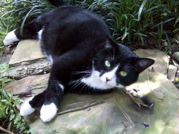 SThomp9797 profile photo