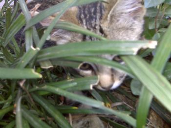 SThomp9797 profile photo