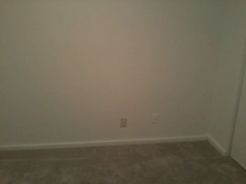 elisenjeff profile photo