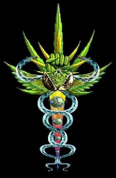 Shewolf1963 profile photo