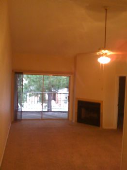 raiden435 profile photo