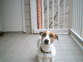 georgi profile photo