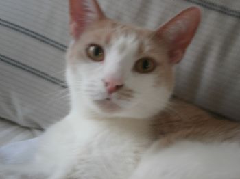 riverated075 profile photo