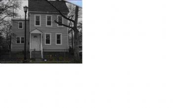 deniselula profile photo