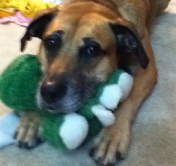 whit1212 profile photo