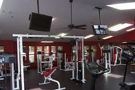 sweethippie profile photo