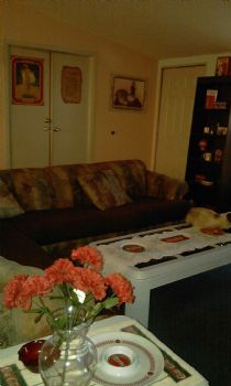 cruizn profile photo