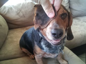 NHarvey profile photo