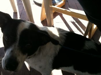 judabee profile photo