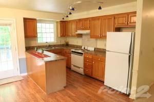 surfergurl24 profile photo