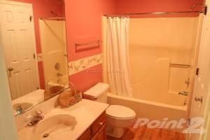 surfergurl24 profile photo