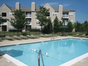 giantniner profile photo