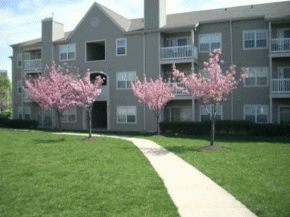 giantniner profile photo