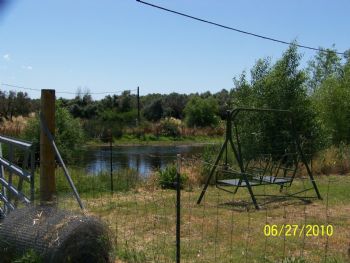 Shay1954 profile photo