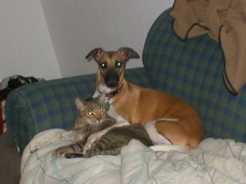 Shay1954 profile photo