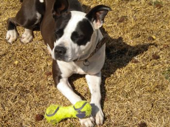 iwnt2breath profile photo