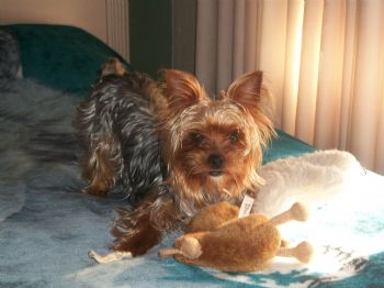 bellarose12 profile photo