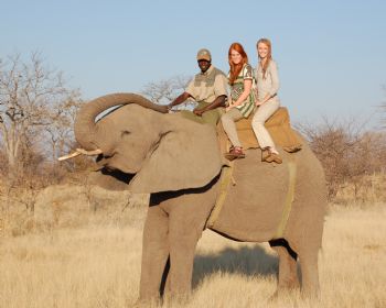 LinzMax profile photo