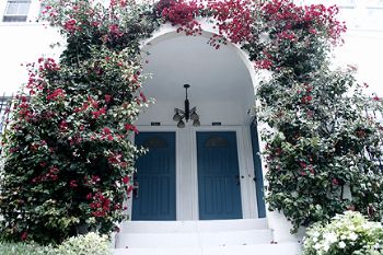 mcajucom profile photo