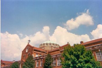 lily666 profile photo