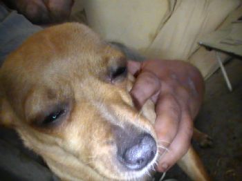 tncountry profile photo