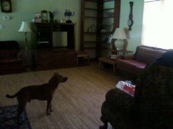 red1959 profile photo