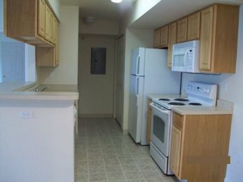 caoconnor profile photo