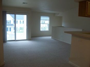 caoconnor profile photo