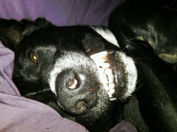 jimpame2 profile photo