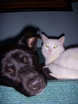 jimpame2 profile photo