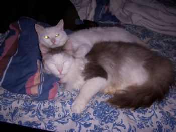 jimpame2 profile photo