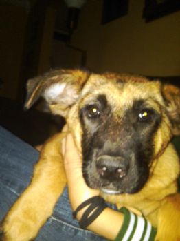 jimpame2 profile photo