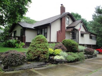 springfire profile photo