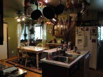 springfire profile photo