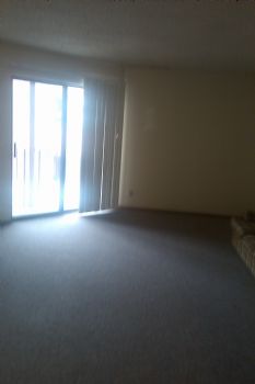 joelz1989 profile photo